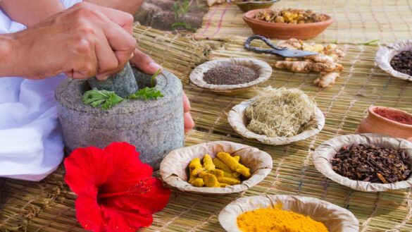 Top 10 Benefits Of Using Herbal Medicines | Health2Wellness