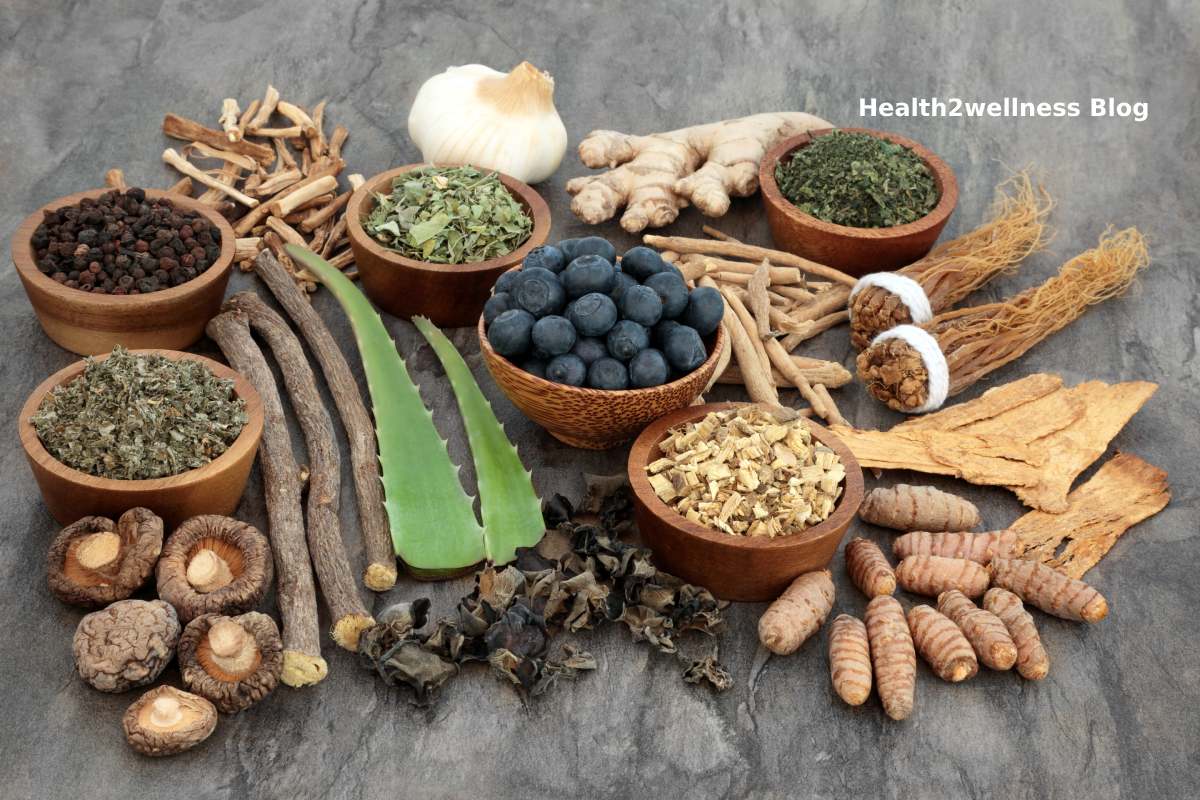 Top 10 Benefits Of Using Herbal Medicines Health2Wellness